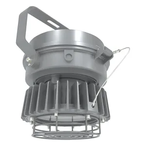 30 Watts, LED Explosion Proof Lights, Hazardous High Bays, 5000K, 120-277V, Surface and Pendant Mount
