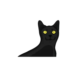 Black Cat