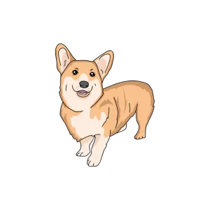 Corgi