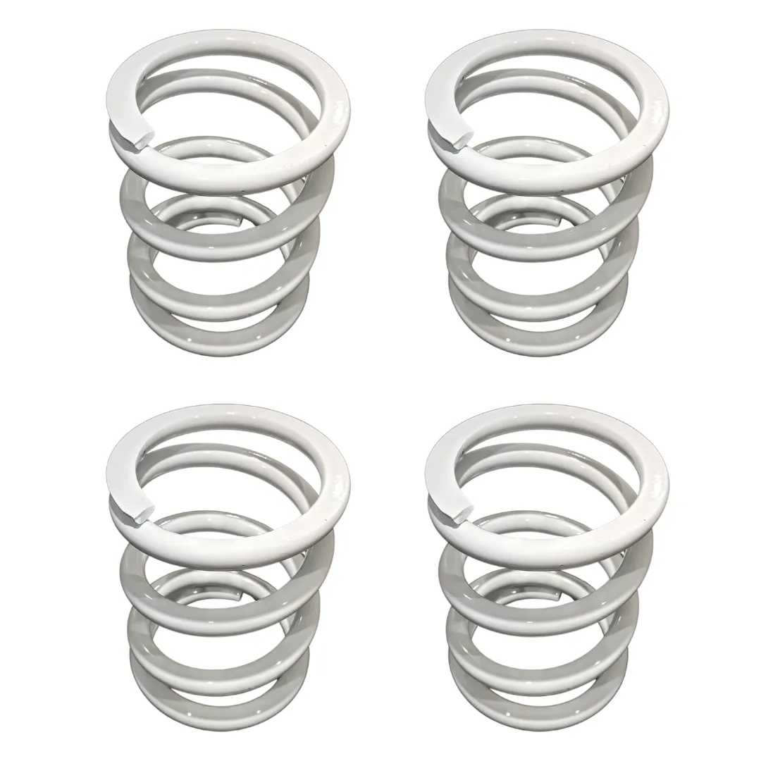 Polaris RZR RS1 Tender Spring Swap Kit (2019 )