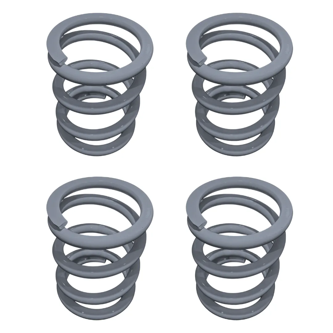 Polaris RZR RS1 Tender Spring Swap Kit (2019 )