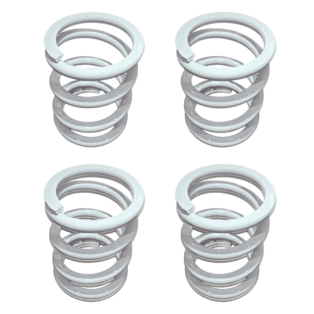 Polaris RZR RS1 Tender Spring Swap Kit (2019 )