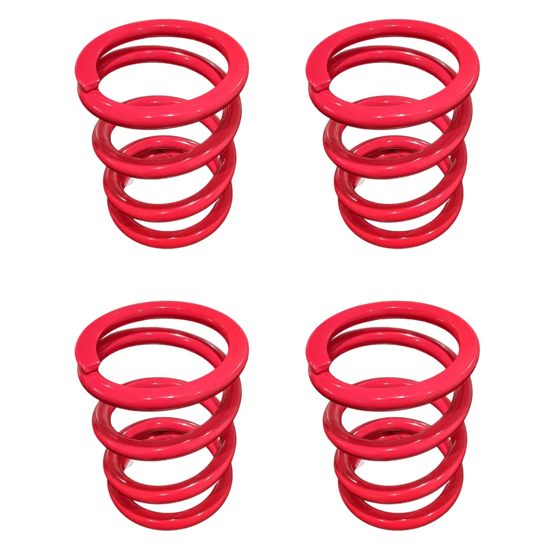 Polaris RZR RS1 Tender Spring Swap Kit (2019 )