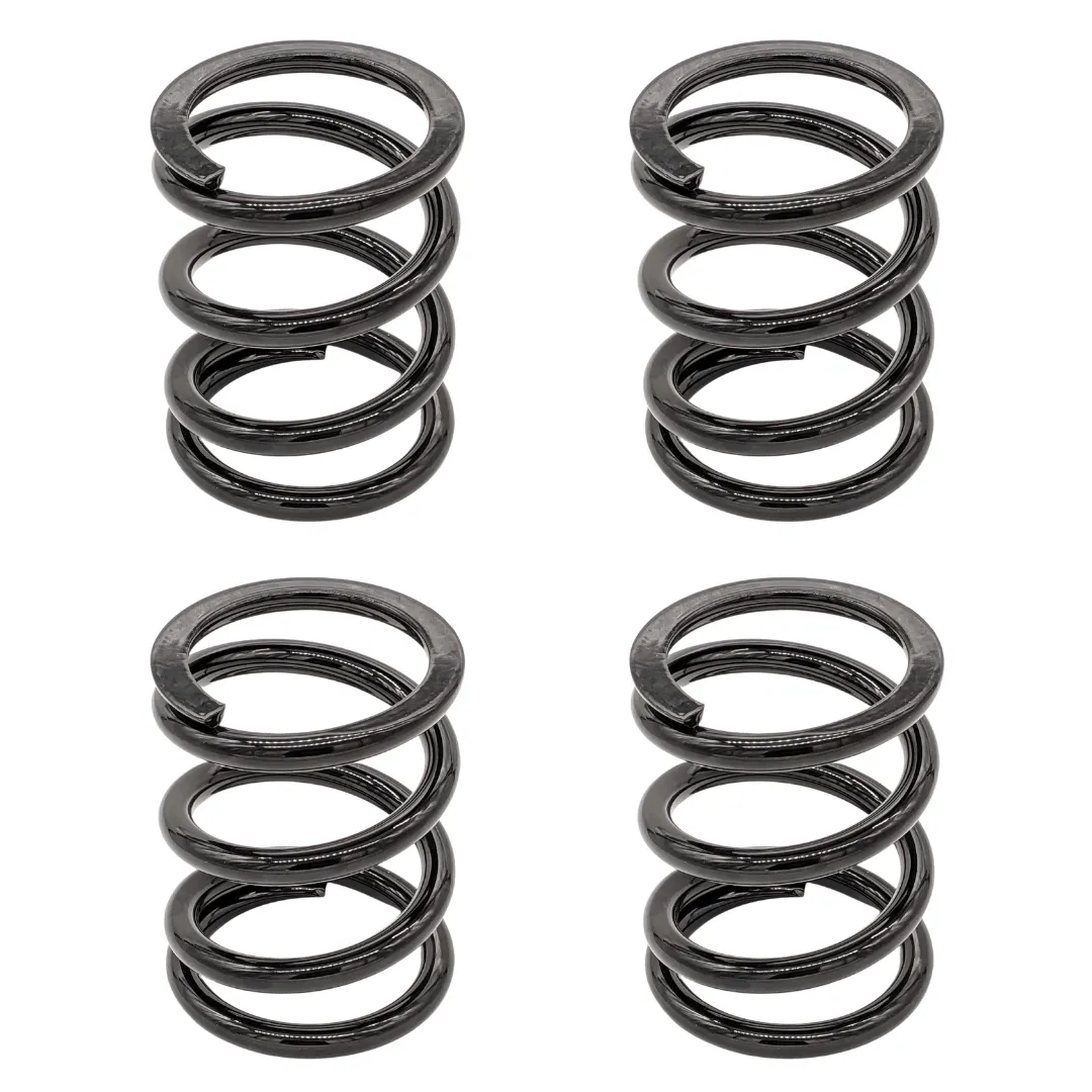 Polaris RZR RS1 Tender Spring Swap Kit (2019 )