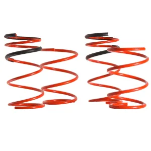 Swift Springs 2009-2013 Forester